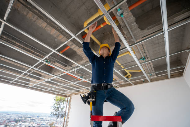 Best Commercial Plumbing Services  in Ellenton, FL