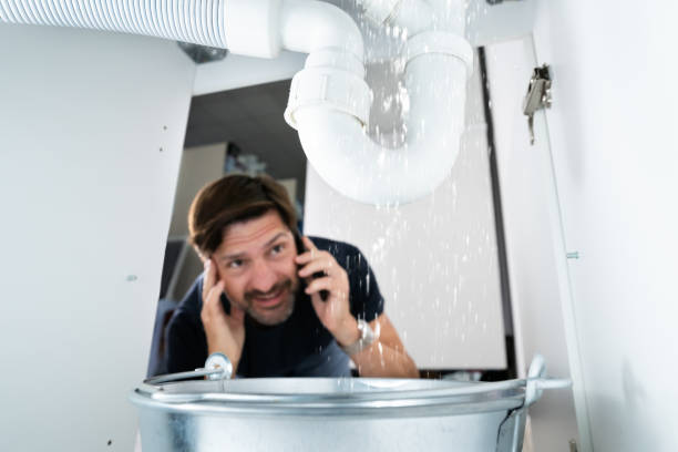 Best Plumbing Repair Near Me  in Ellenton, FL